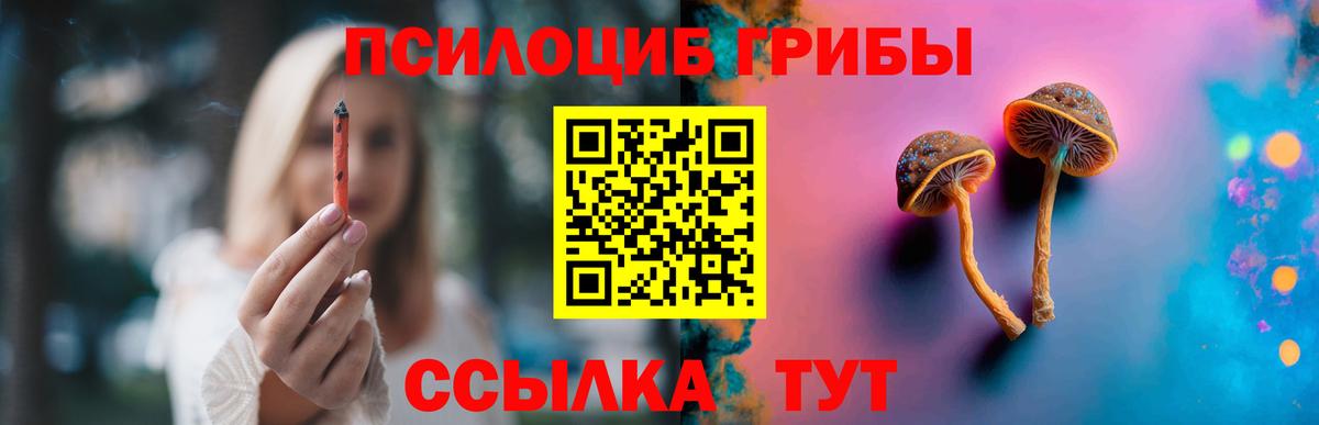 Галлюциногенные грибы MAGIC MUSHROOMS  Вход с VPN  сколько стоит  Краснознаменск 